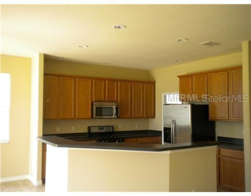 13909 BLUEBIRD POND RD, WINDERMERE, FL, 34786