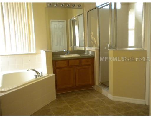 13909 BLUEBIRD POND RD, WINDERMERE, FL, 34786