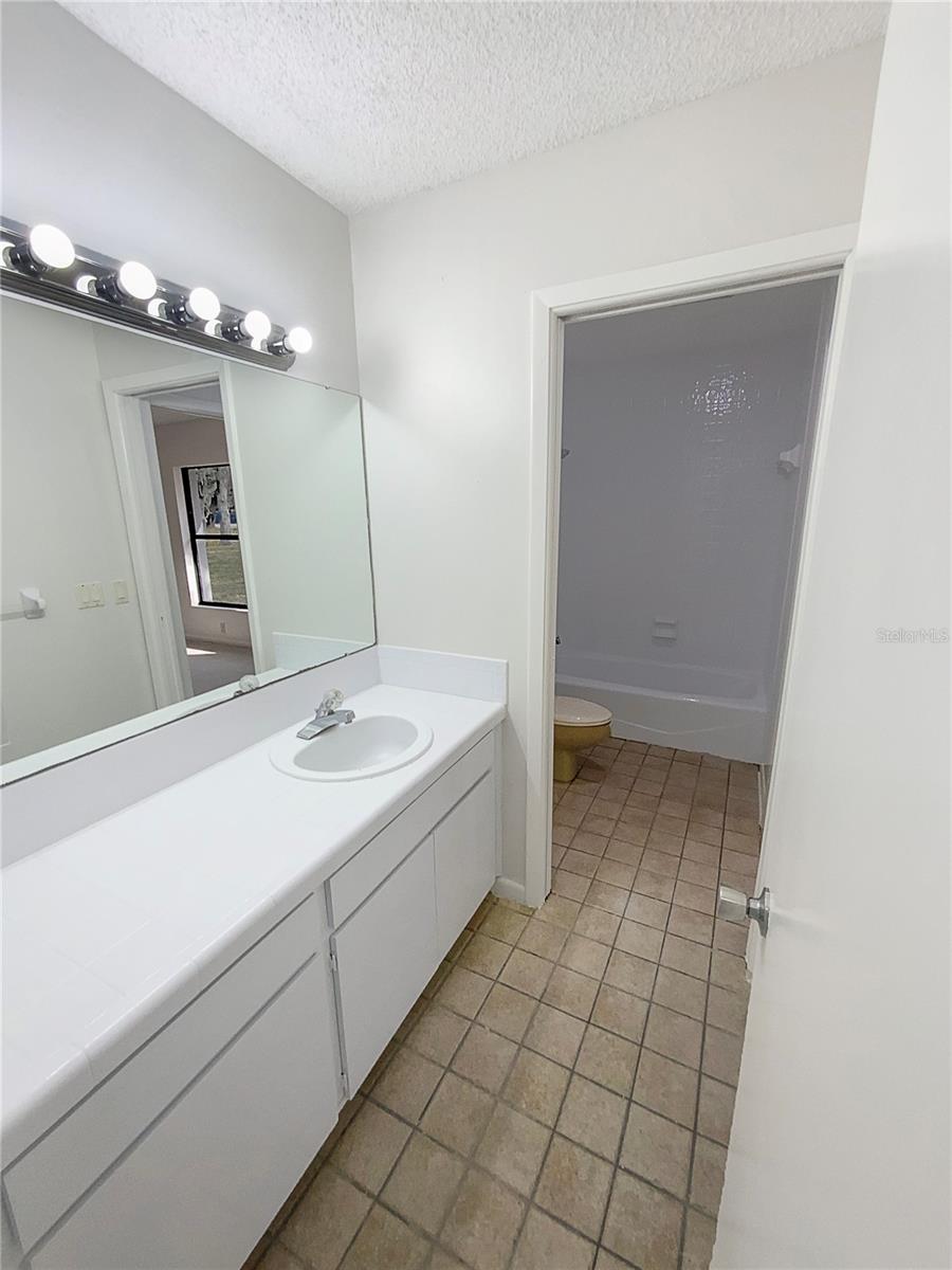 18111 LIVINGSTON AVE, LUTZ, FL, 33559