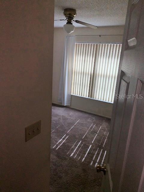 285 ROGERS CT, SAFETY HARBOR, FL, 34695