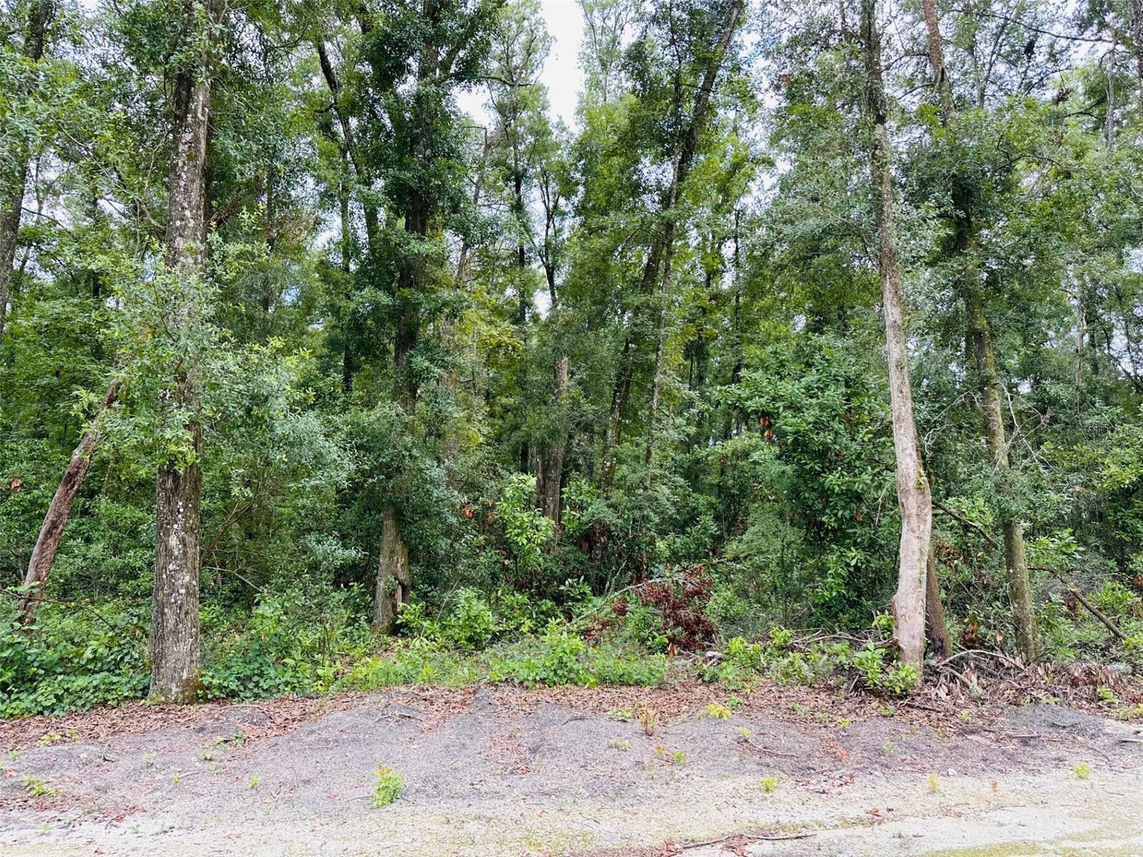 1455 NE 272 AVE, OLD TOWN, FL, 32680