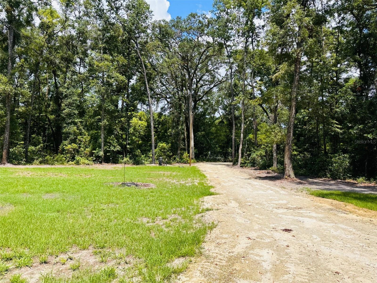 1455 NE 272 AVE, OLD TOWN, FL, 32680