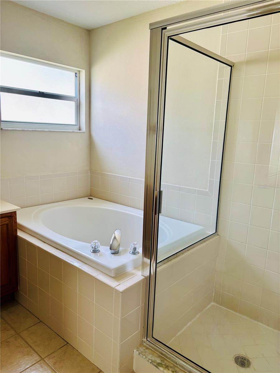 1131 BAYCREST DR, WESLEY CHAPEL, FL, 33544