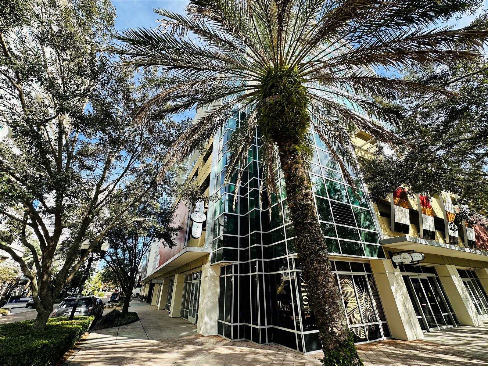 101 S EOLA DR #1009, ORLANDO, FL, 32801