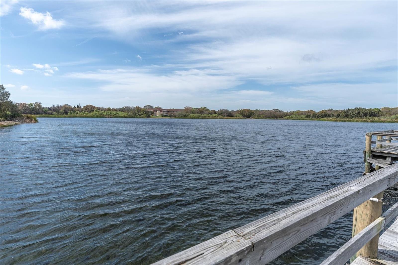 2021 AUSTRALIA WAY #33, CLEARWATER, FL, 33763