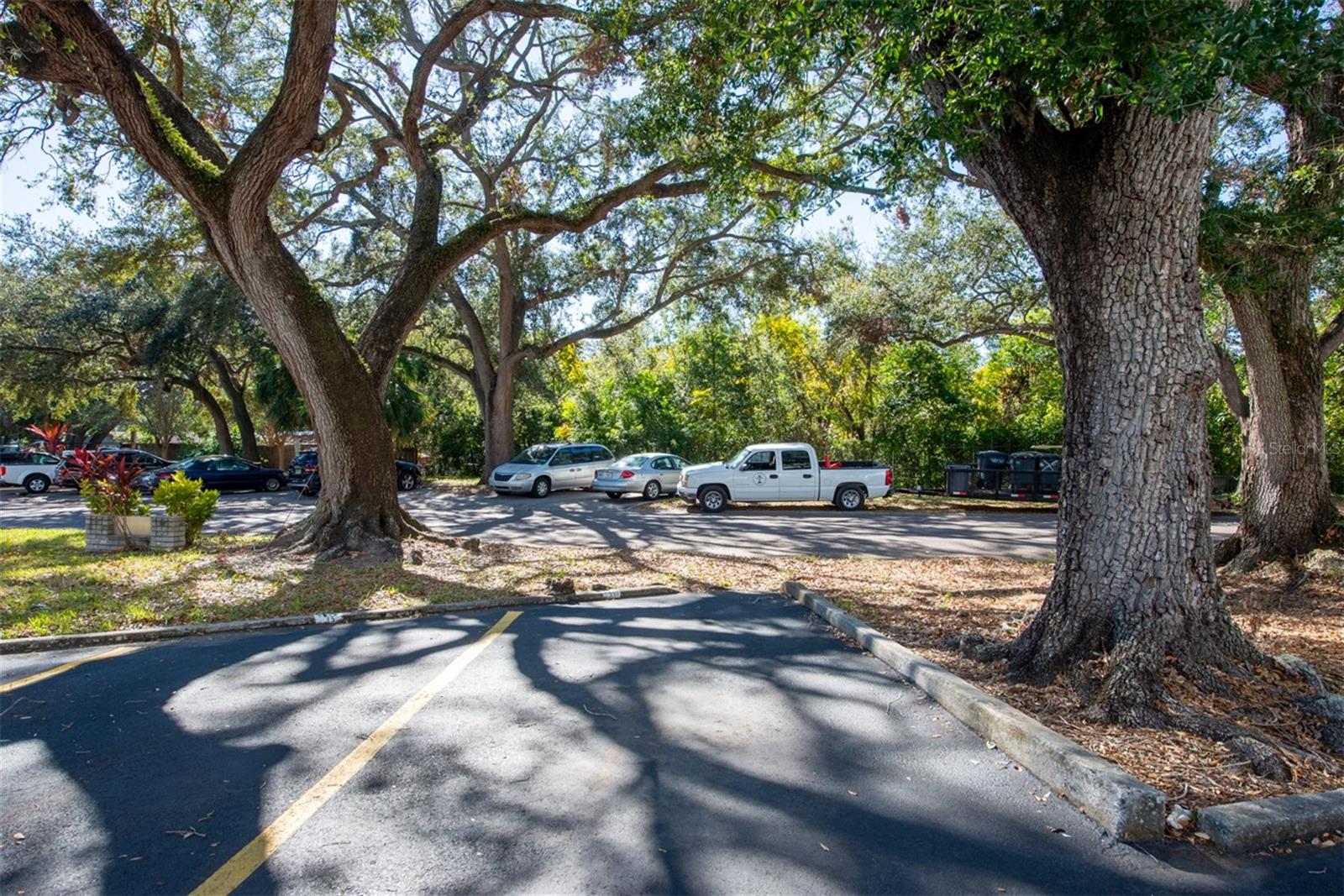 2021 AUSTRALIA WAY #33, CLEARWATER, FL, 33763