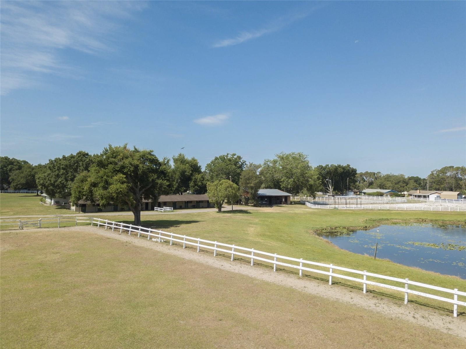 3625 GREATWOOD CT, LAND O LAKES, FL, 34639