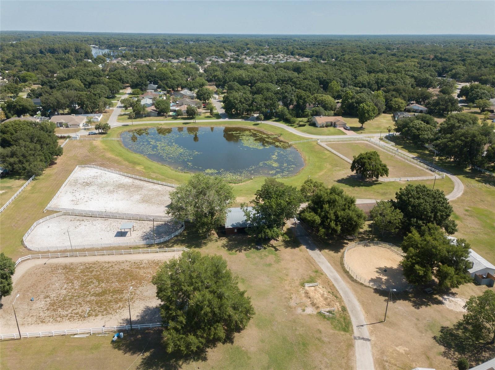 3625 GREATWOOD CT, LAND O LAKES, FL, 34639