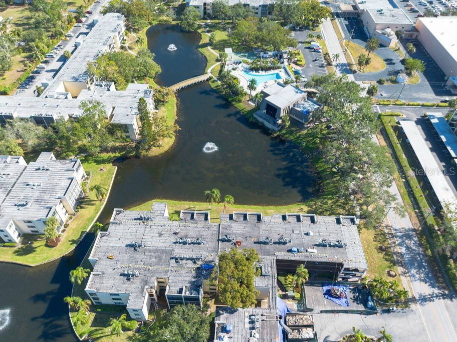 14130 ROSEMARY LN #4211, LARGO, FL, 33774