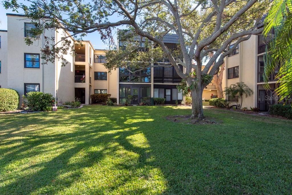 14130 ROSEMARY LN #4211, LARGO, FL, 33774