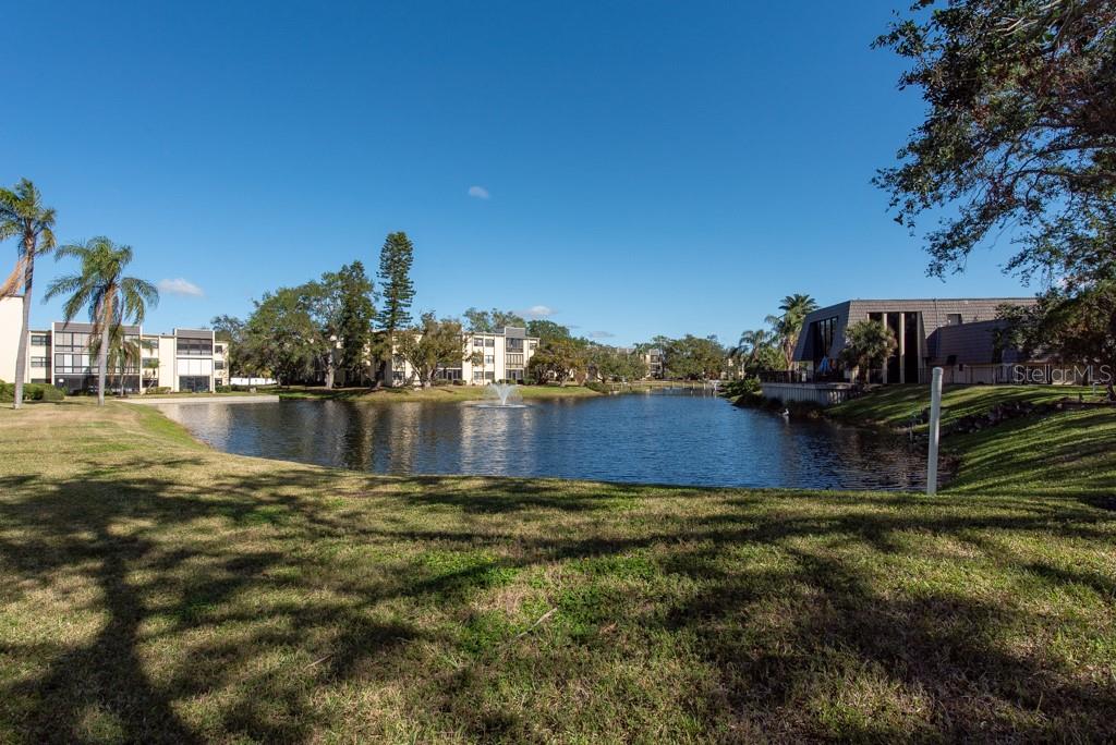 14130 ROSEMARY LN #4211, LARGO, FL, 33774