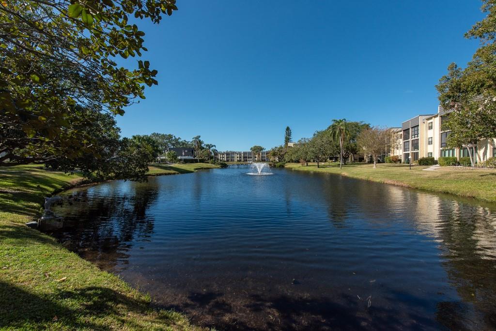 14130 ROSEMARY LN #4211, LARGO, FL, 33774