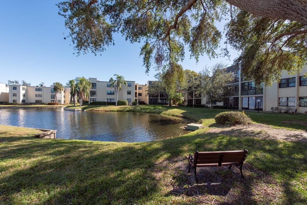 14130 ROSEMARY LN #4211, LARGO, FL, 33774