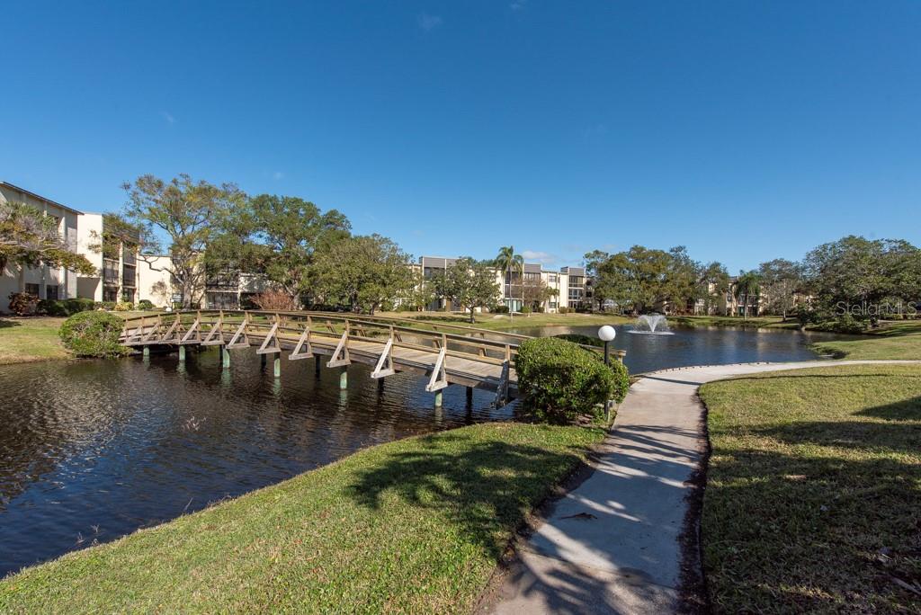 14130 ROSEMARY LN #4211, LARGO, FL, 33774