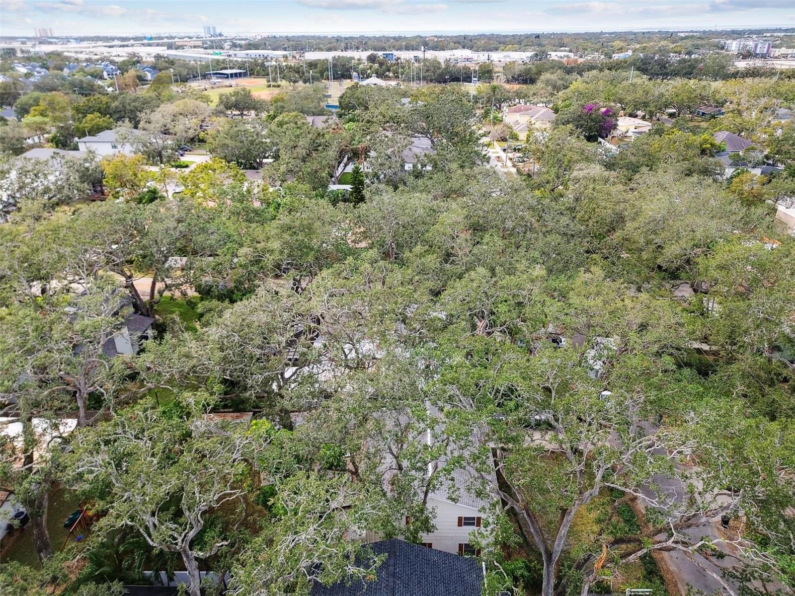 3322 W DORCHESTER ST, TAMPA, FL, 33611