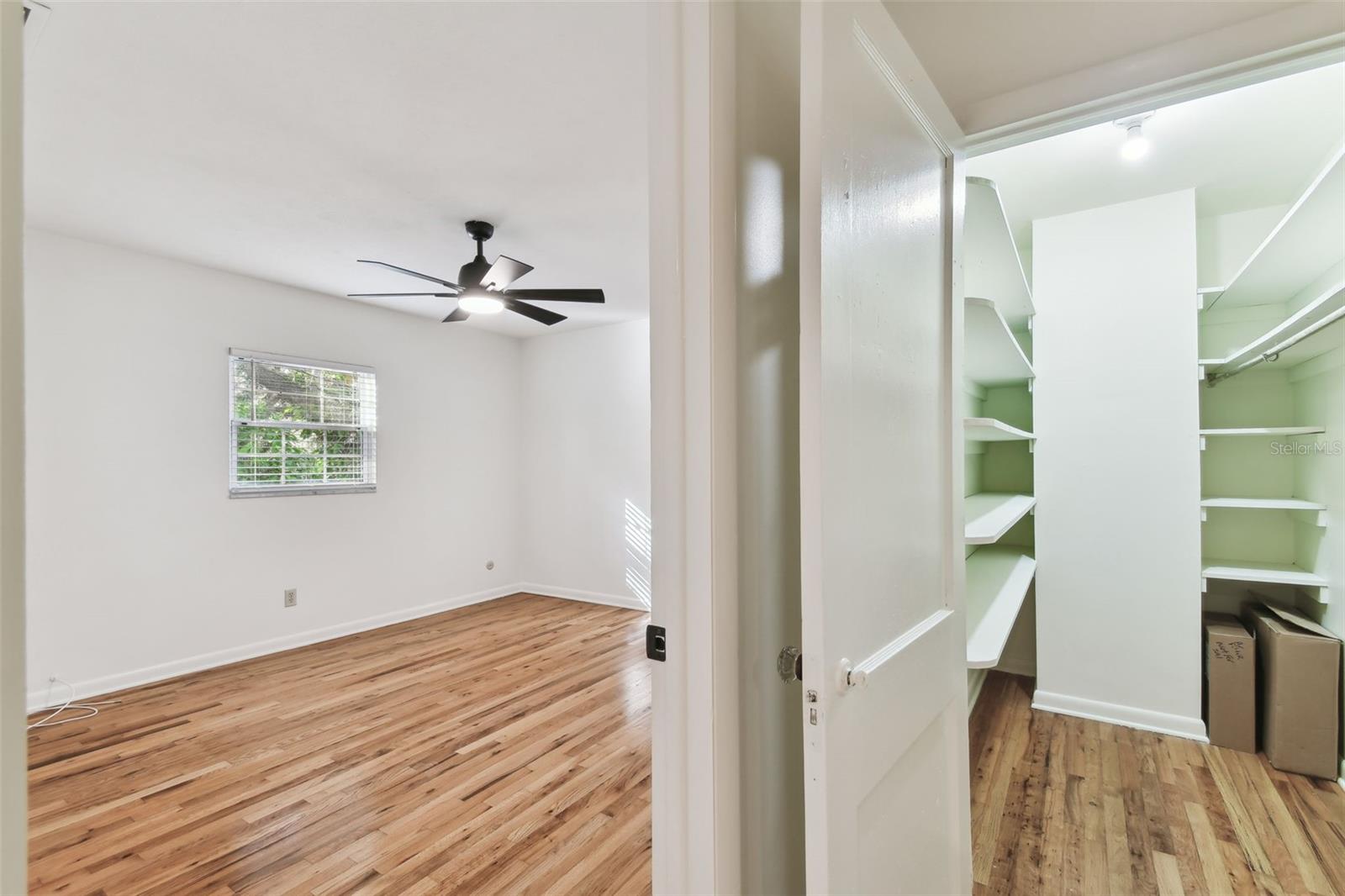 3322 W DORCHESTER ST, TAMPA, FL, 33611