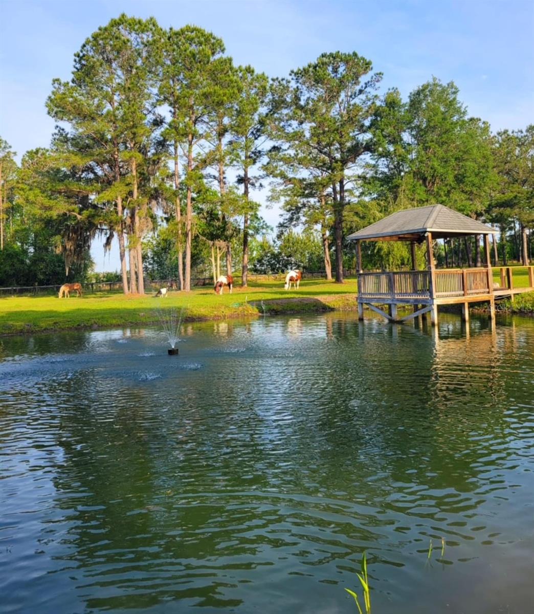 13401 W HIGHWAY 316, REDDICK, FL, 32686