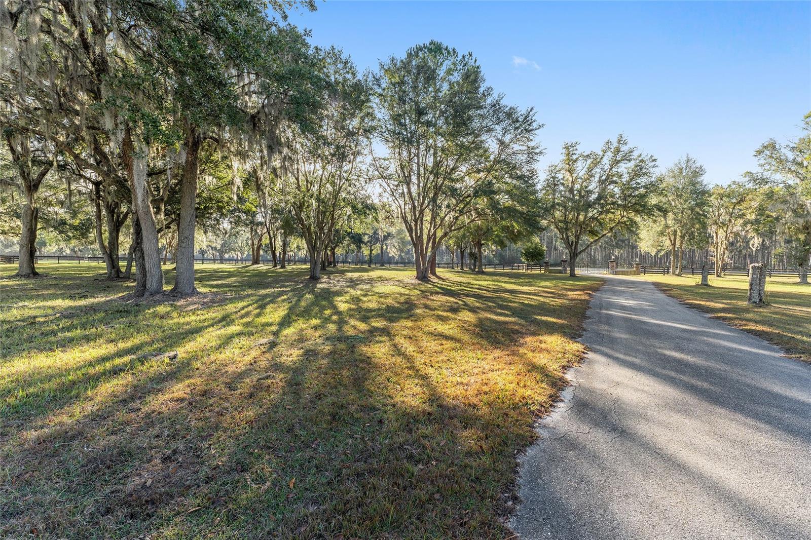 13401 W HIGHWAY 316, REDDICK, FL, 32686