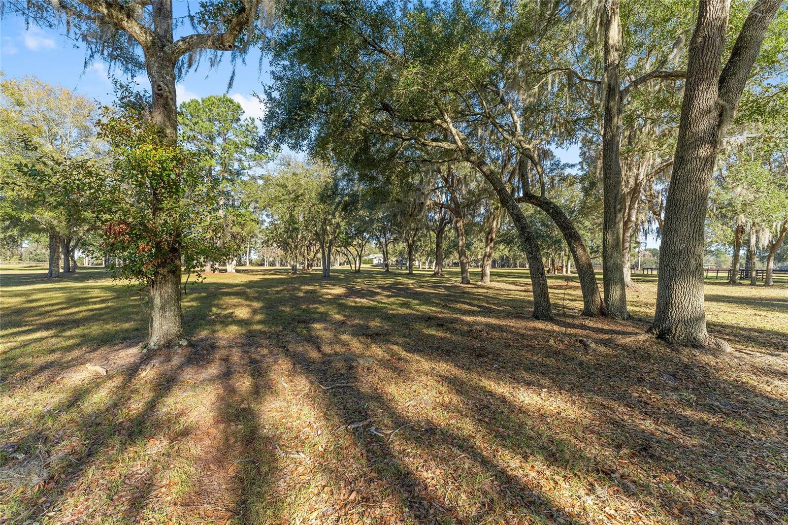13401 W HIGHWAY 316, REDDICK, FL, 32686