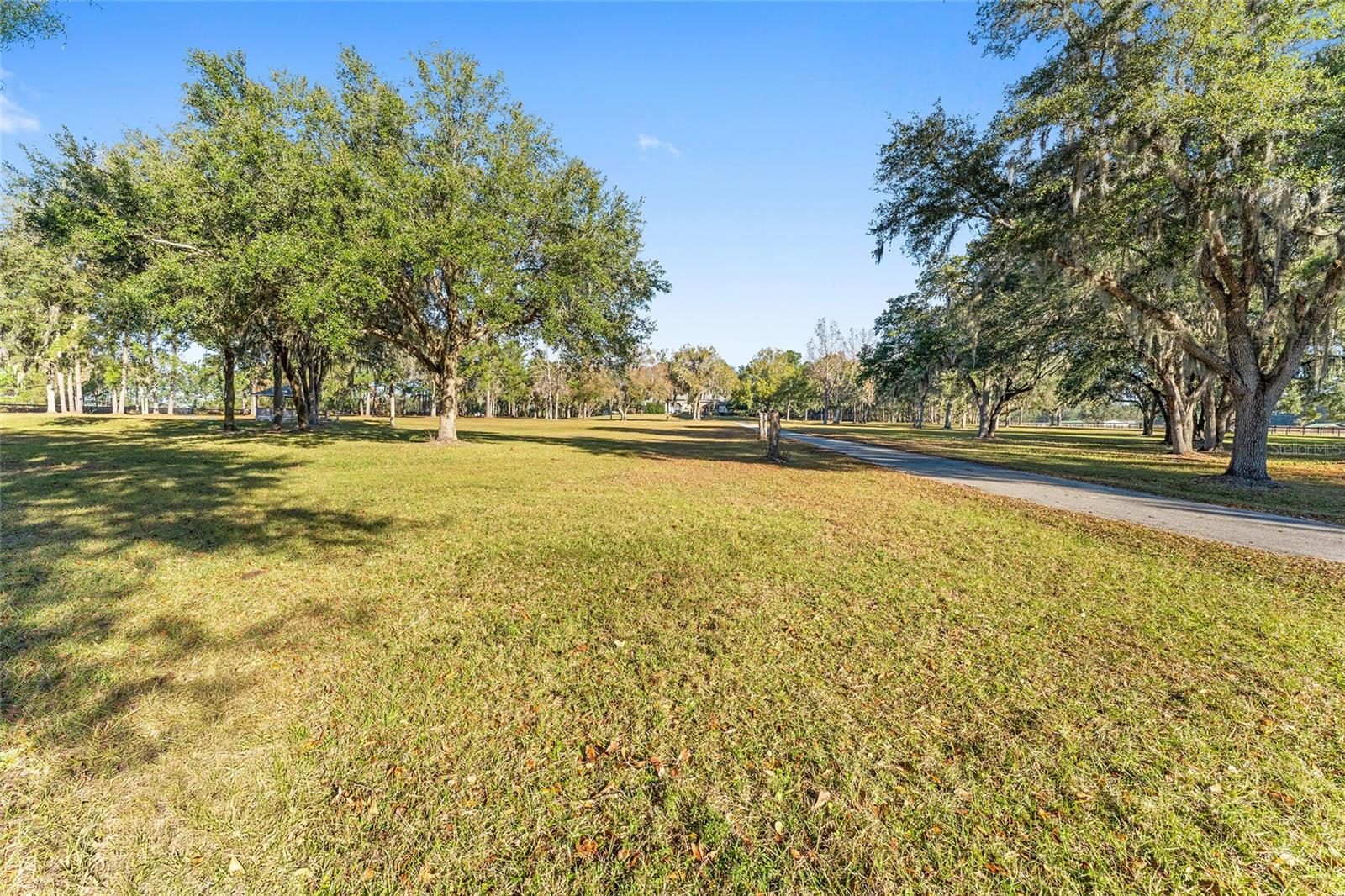 13401 W HIGHWAY 316, REDDICK, FL, 32686