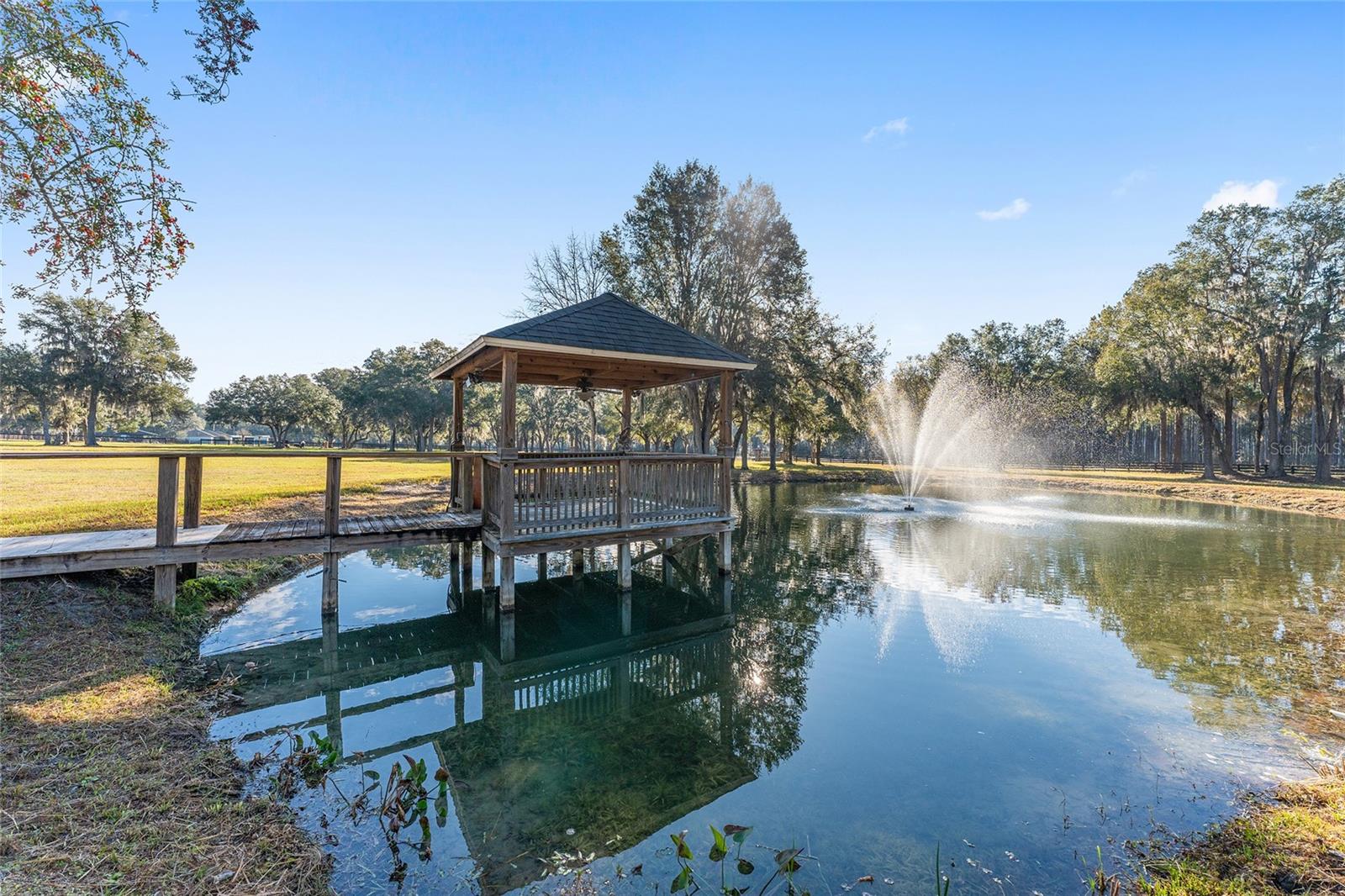 13401 W HIGHWAY 316, REDDICK, FL, 32686