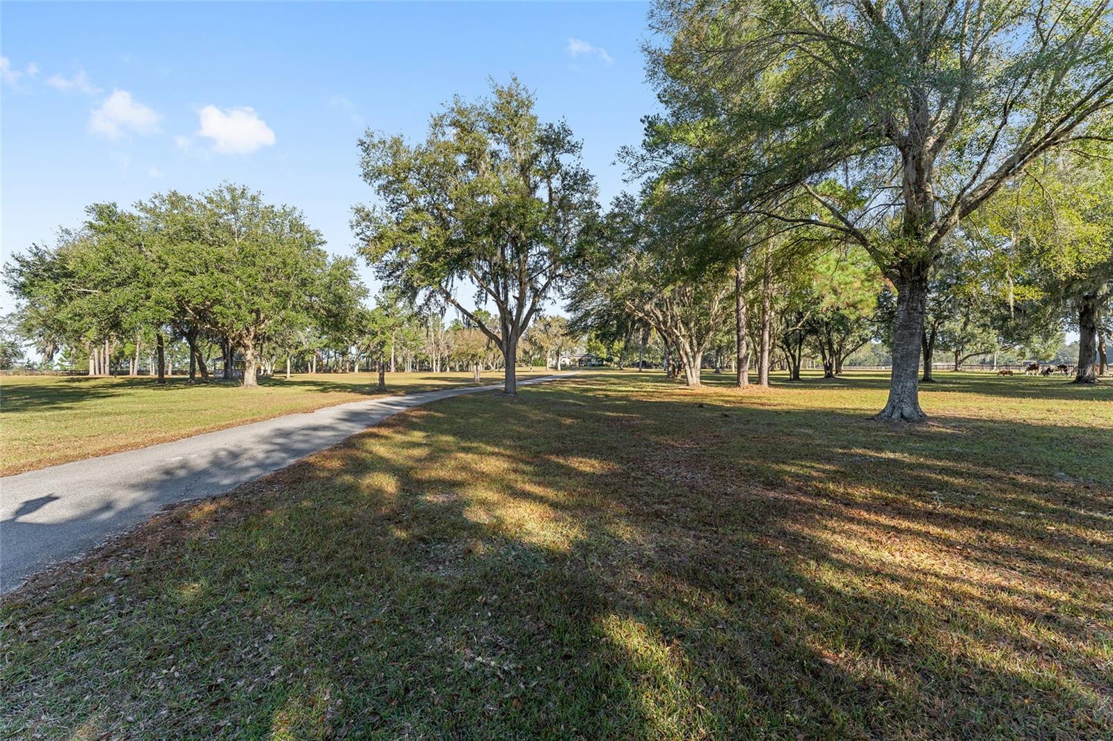 13401 W HIGHWAY 316, REDDICK, FL, 32686