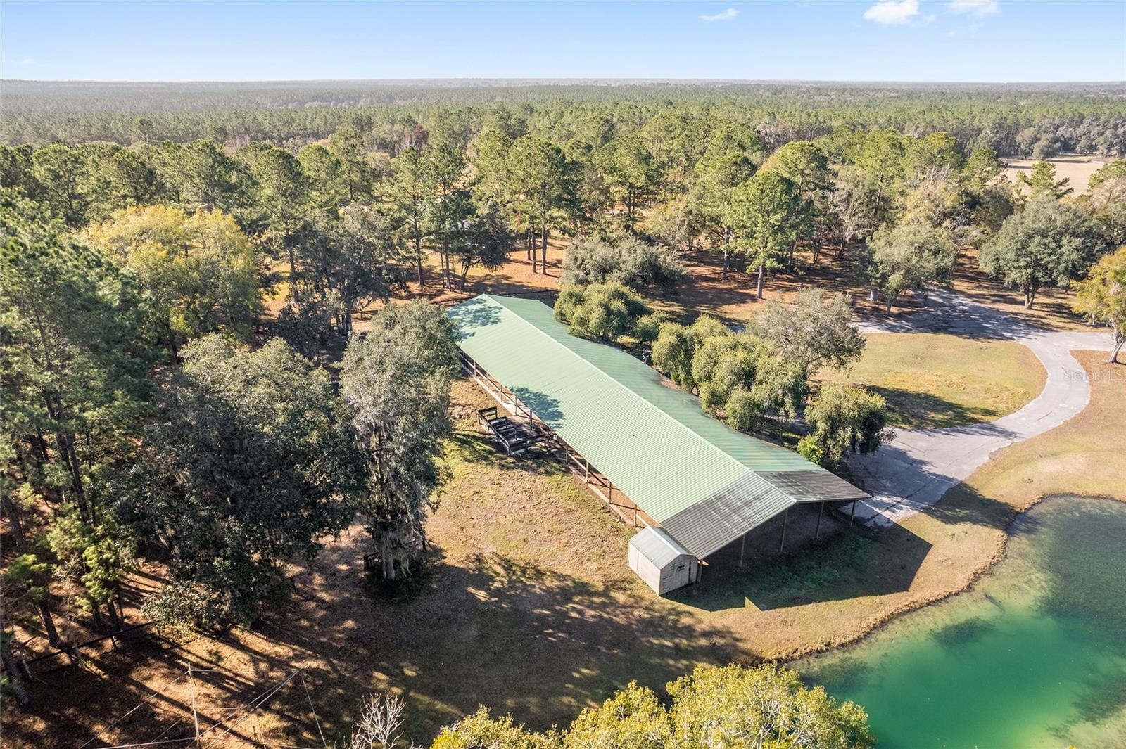 13401 W HIGHWAY 316, REDDICK, FL, 32686
