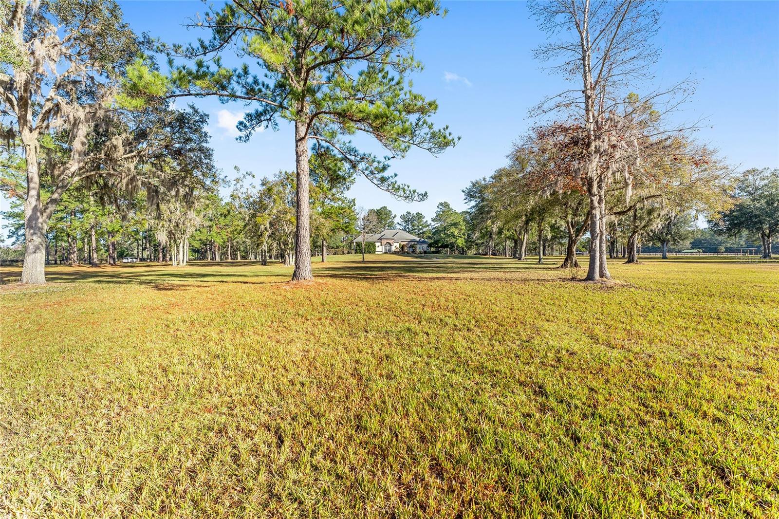 13401 W HIGHWAY 316, REDDICK, FL, 32686