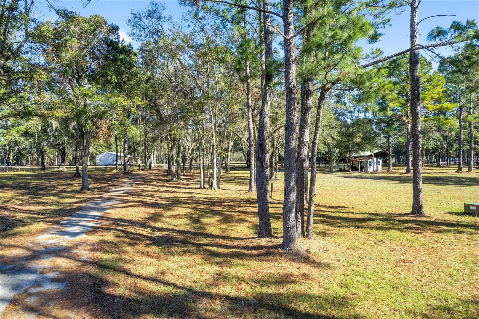 13401 W HIGHWAY 316, REDDICK, FL, 32686