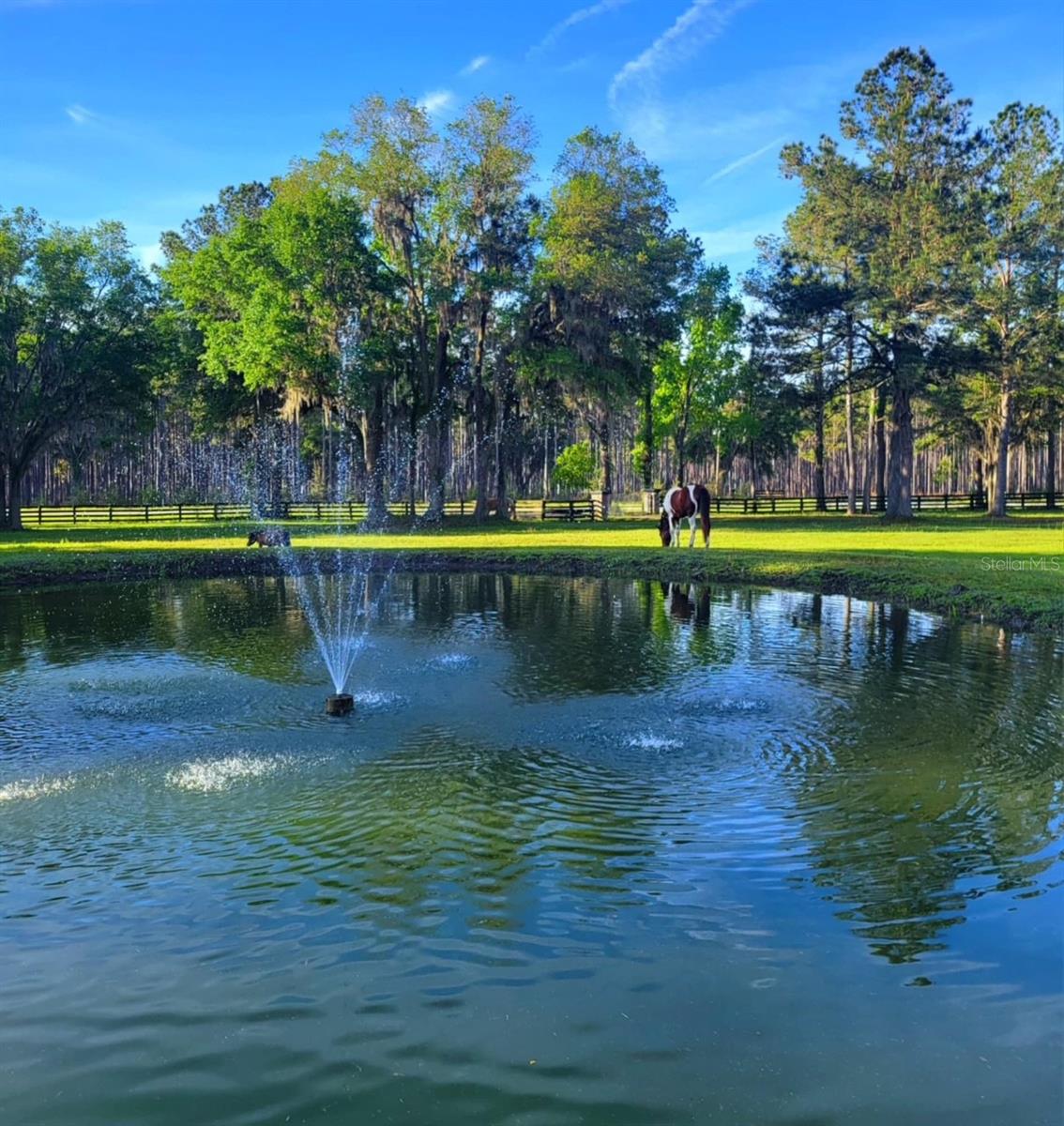 13401 W HIGHWAY 316, REDDICK, FL, 32686