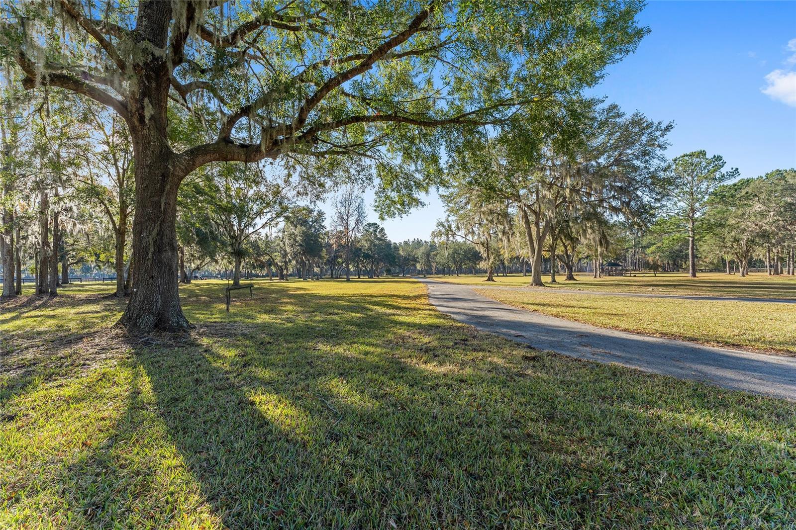 13401 W HIGHWAY 316, REDDICK, FL, 32686