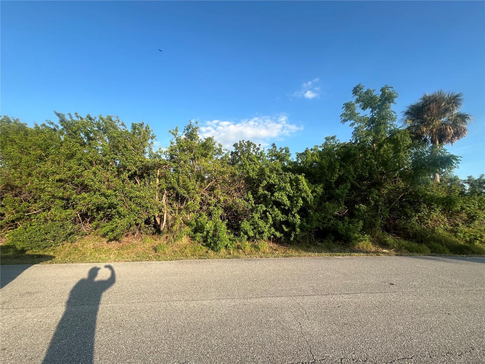 3546 CONEY ISLAND ST, PORT CHARLOTTE, FL, 33952