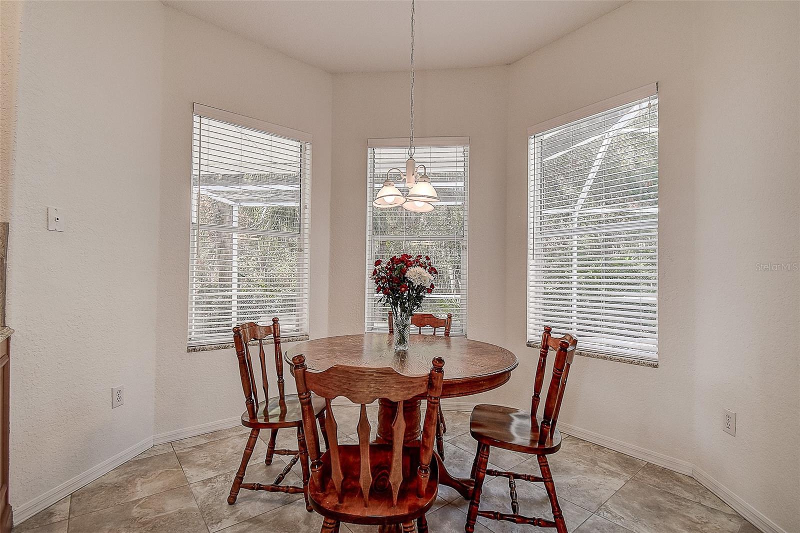 8620 BROOKWAY CIR, TAMPA, FL, 33635