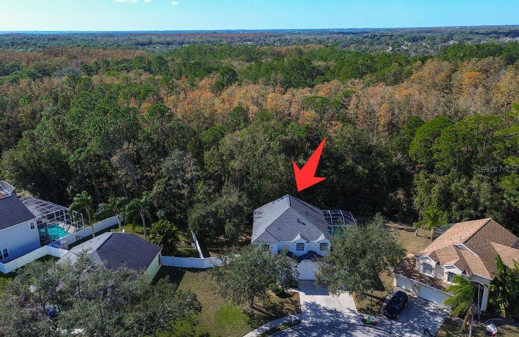 8620 BROOKWAY CIR, TAMPA, FL, 33635