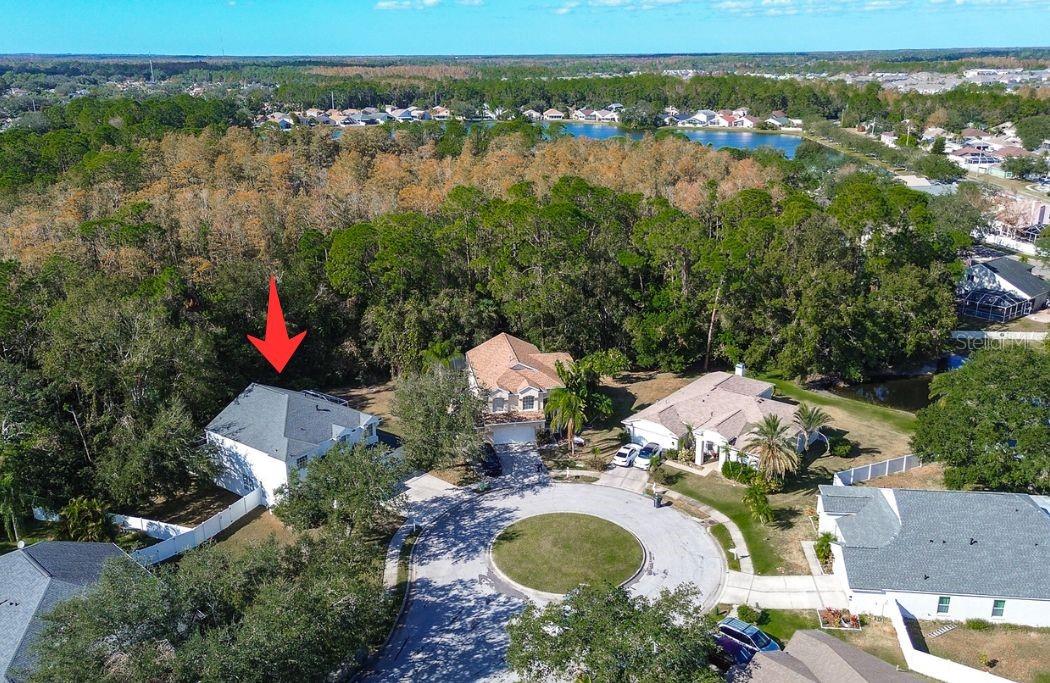 8620 BROOKWAY CIR, TAMPA, FL, 33635