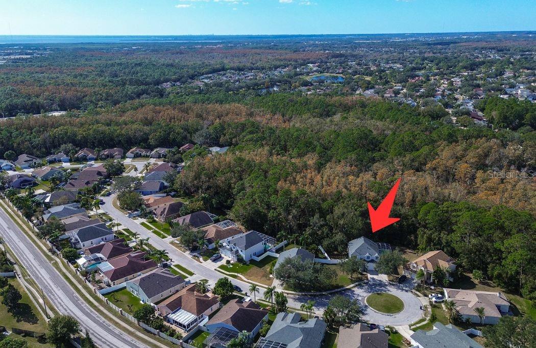 8620 BROOKWAY CIR, TAMPA, FL, 33635