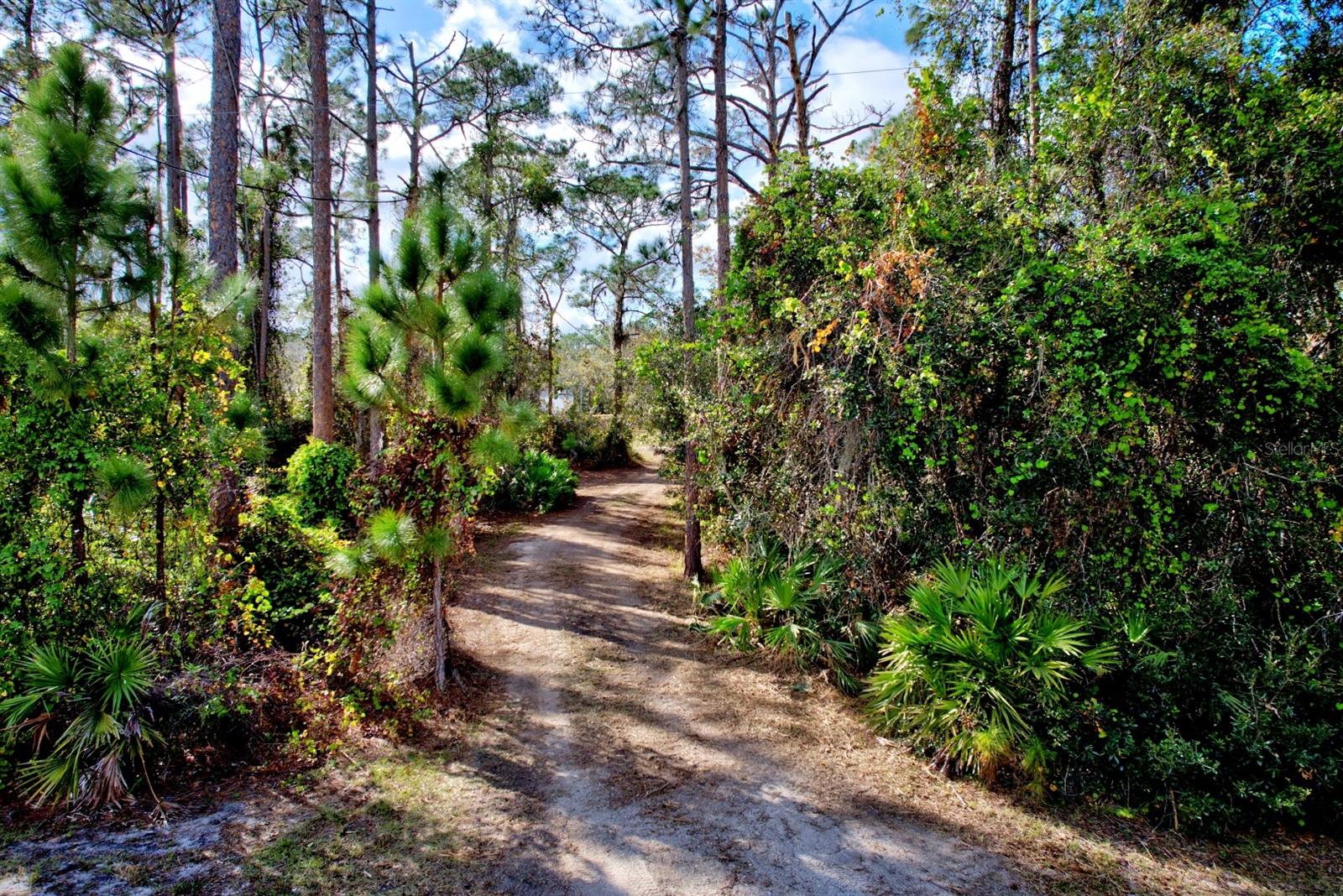 30 ARMADILLO RD, FROSTPROOF, FL, 33843