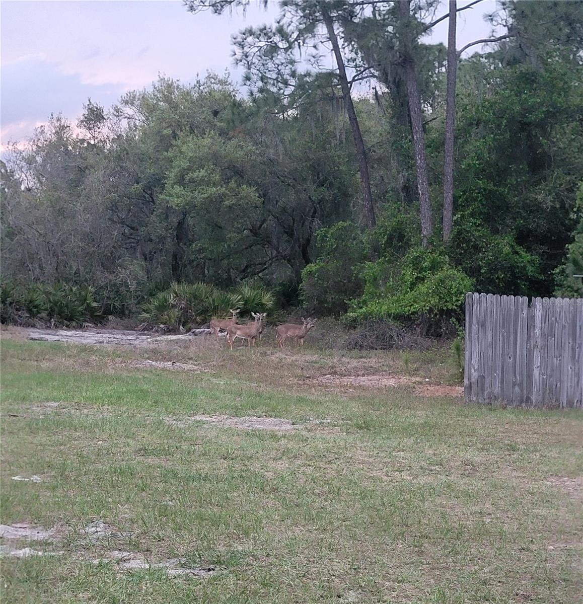 30 ARMADILLO RD, FROSTPROOF, FL, 33843