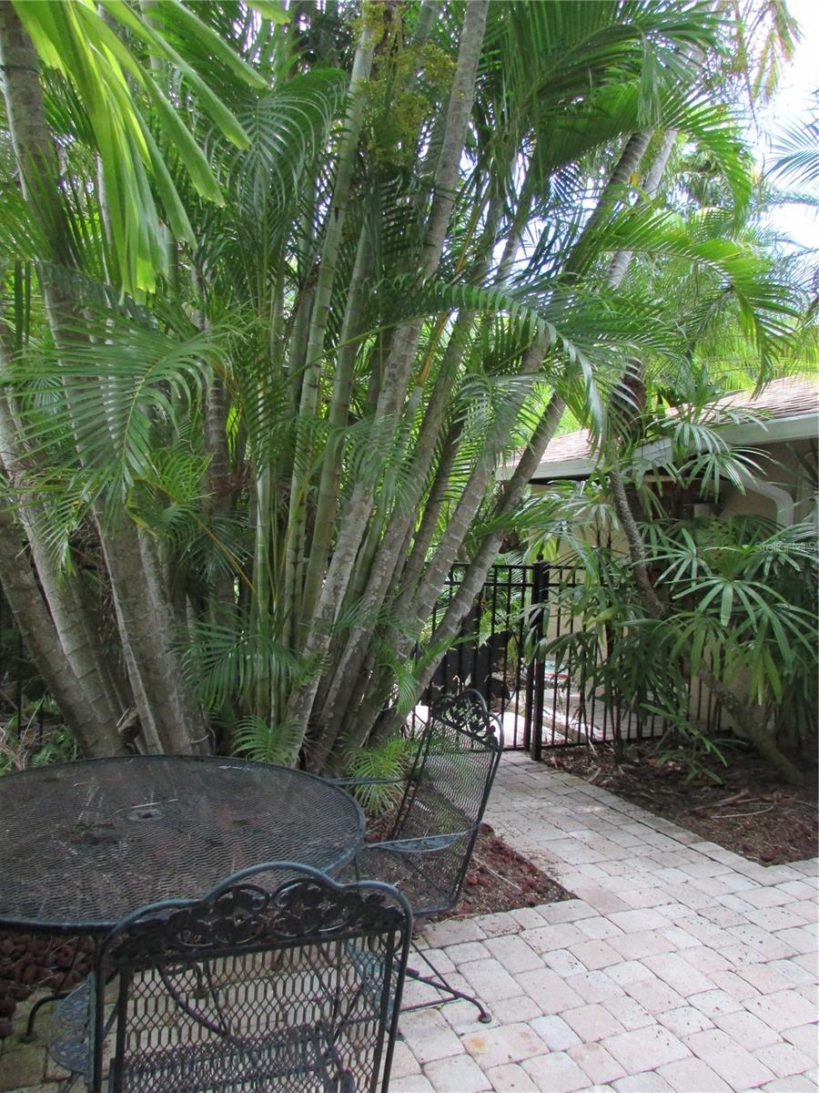 24 160TH CT, REDINGTON BEACH, FL, 33708