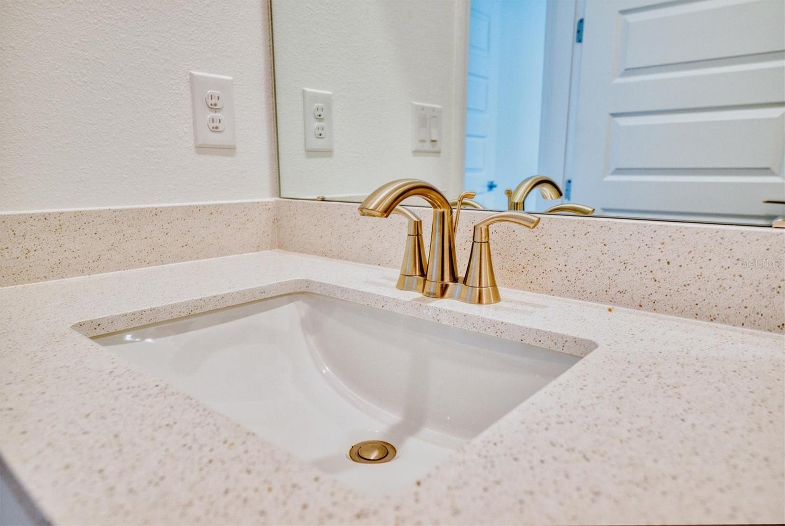 14010 GINNIE SPRINGS WAY, PARRISH, FL, 34219