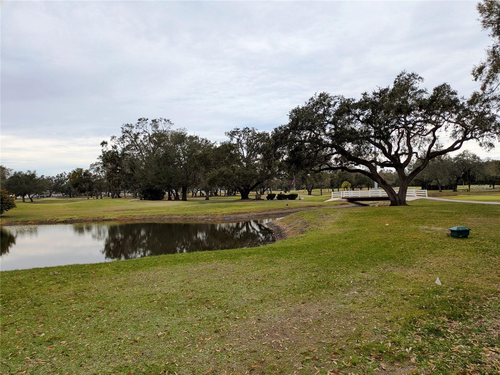 37247 BEVERLY AVE, ZEPHYRHILLS, FL, 33542
