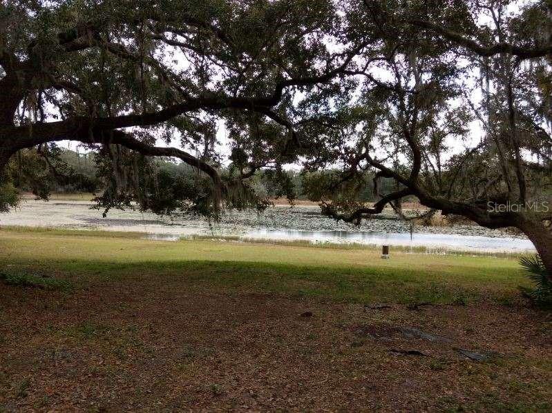 9395 SE 193RD AVE, OCKLAWAHA, FL, 32179