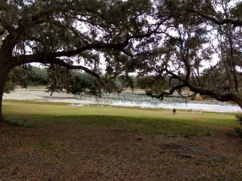 9395 SE 193RD AVE, OCKLAWAHA, FL, 32179