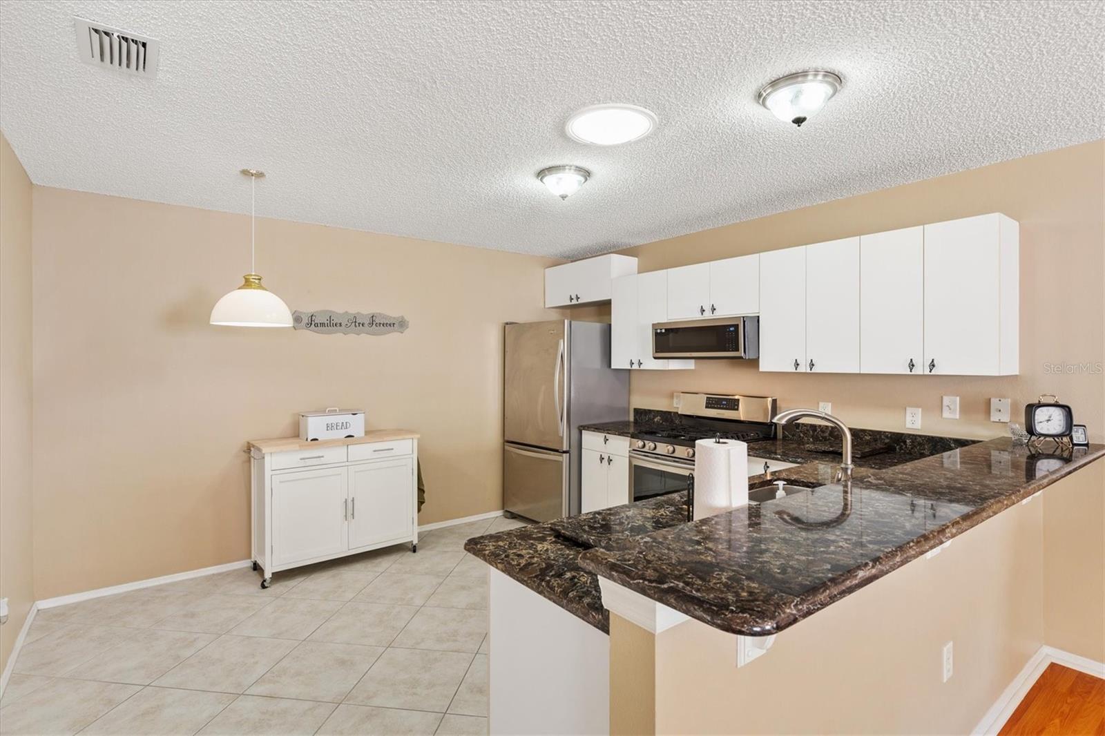 17288 SE 93RD HEYWARD AVE, THE VILLAGES, FL, 32162