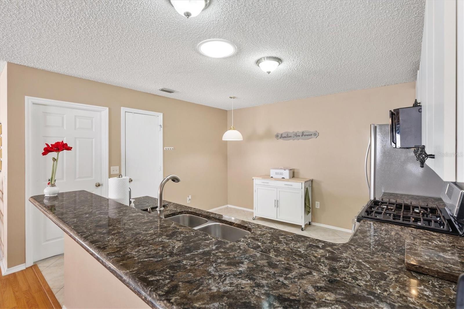 17288 SE 93RD HEYWARD AVE, THE VILLAGES, FL, 32162