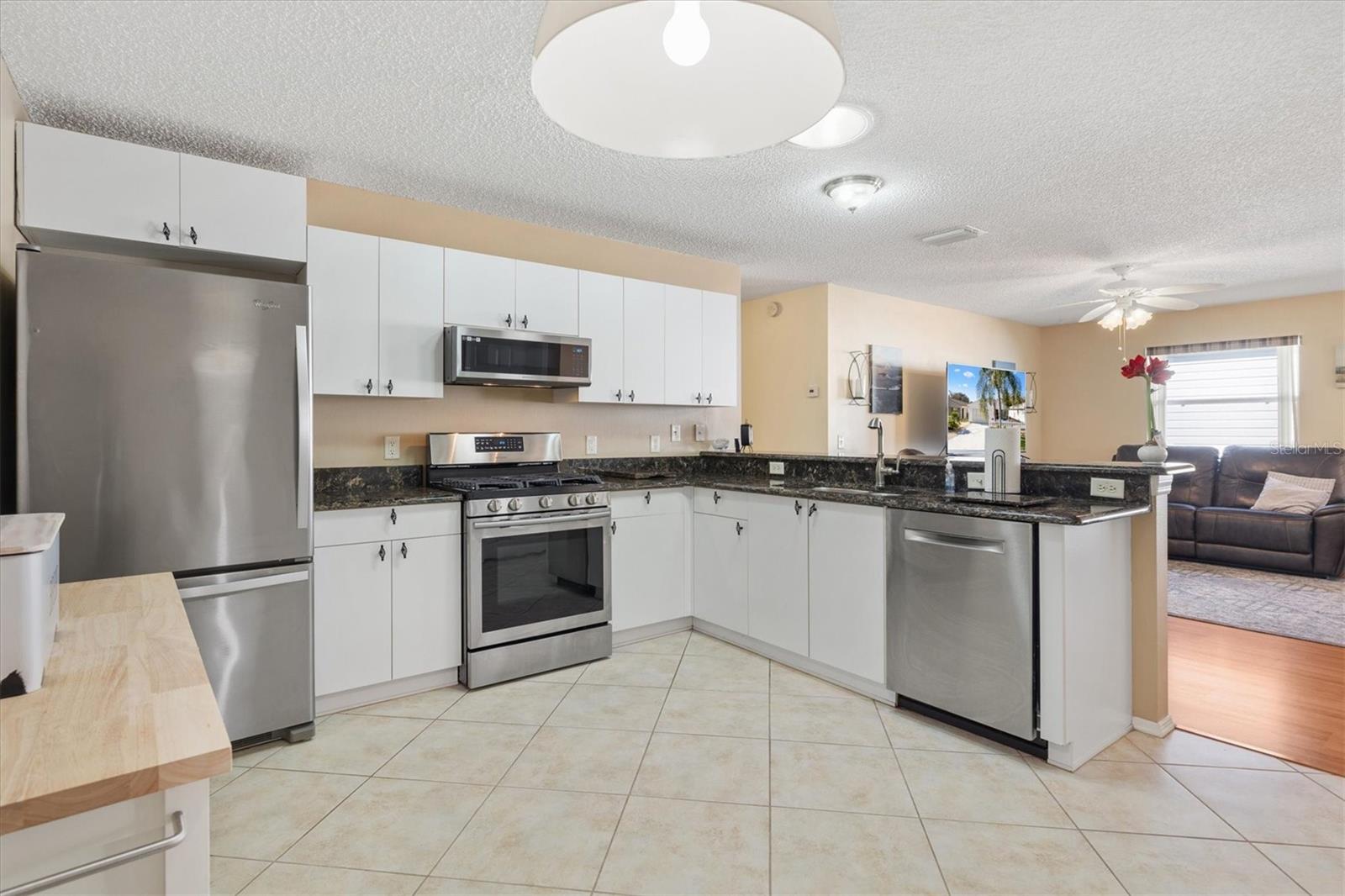 17288 SE 93RD HEYWARD AVE, THE VILLAGES, FL, 32162