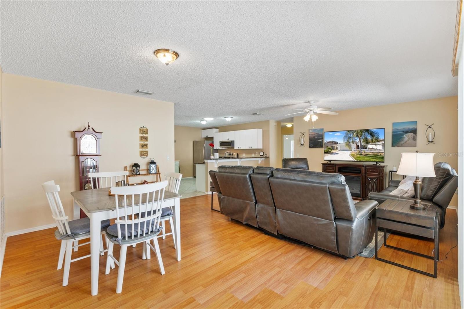 17288 SE 93RD HEYWARD AVE, THE VILLAGES, FL, 32162