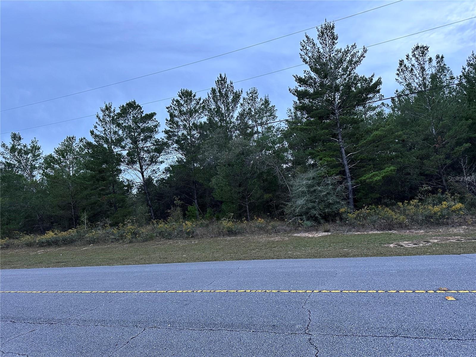 SHENANDOAH BLVD, CHIPLEY, FL, 32428