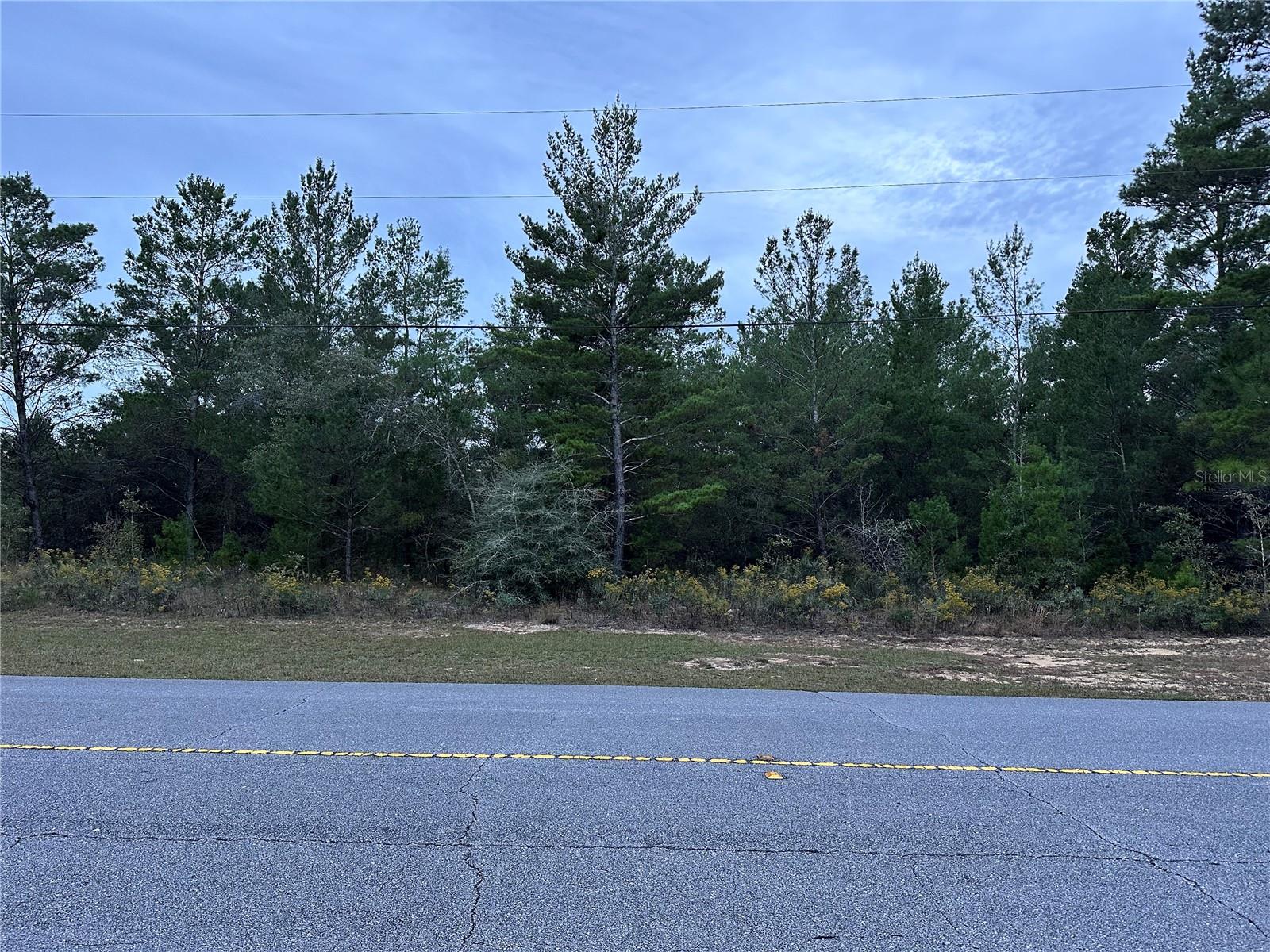 SHENANDOAH BLVD, CHIPLEY, FL, 32428