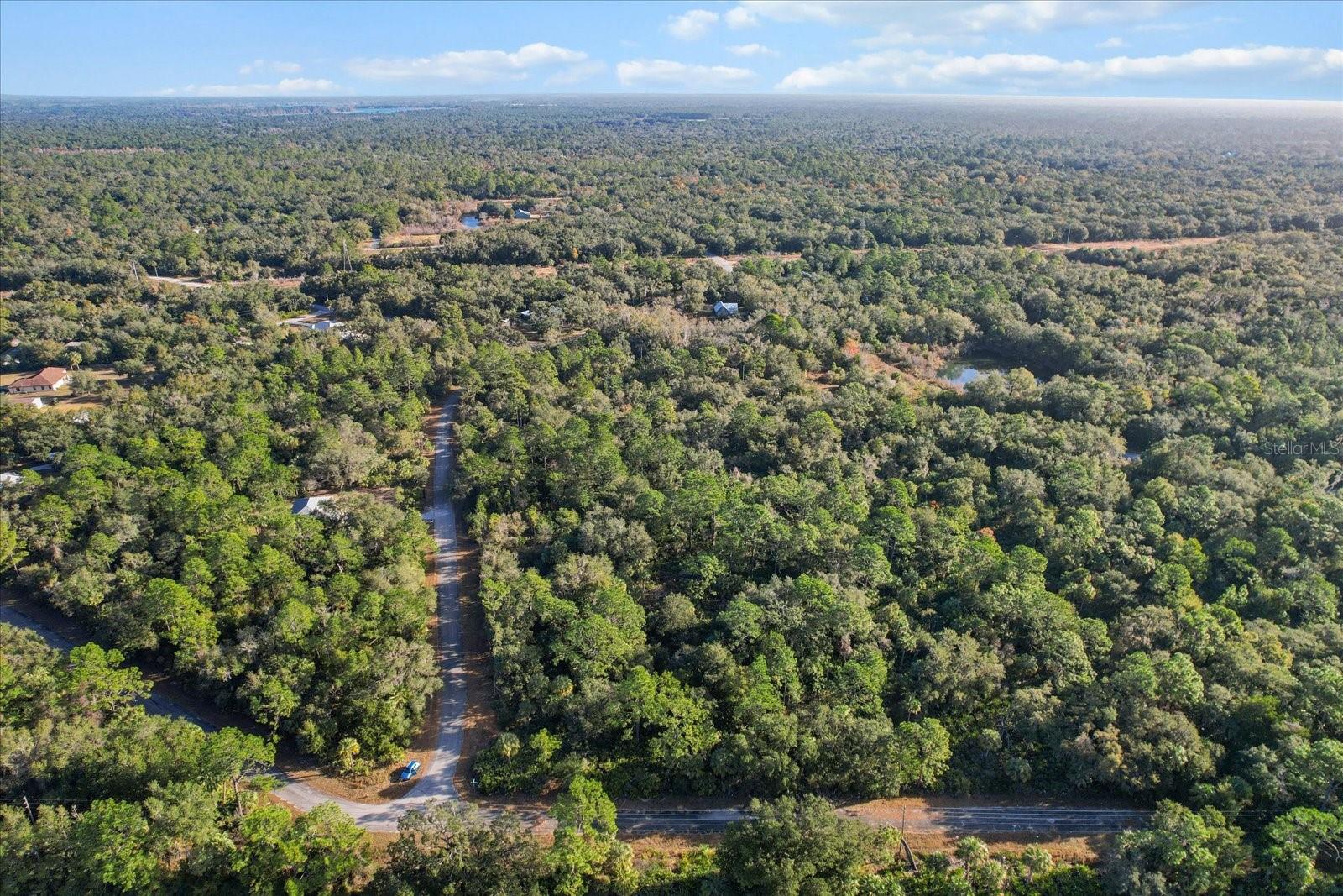 12196 W BLUEBELL DR, CRYSTAL RIVER, FL, 34428